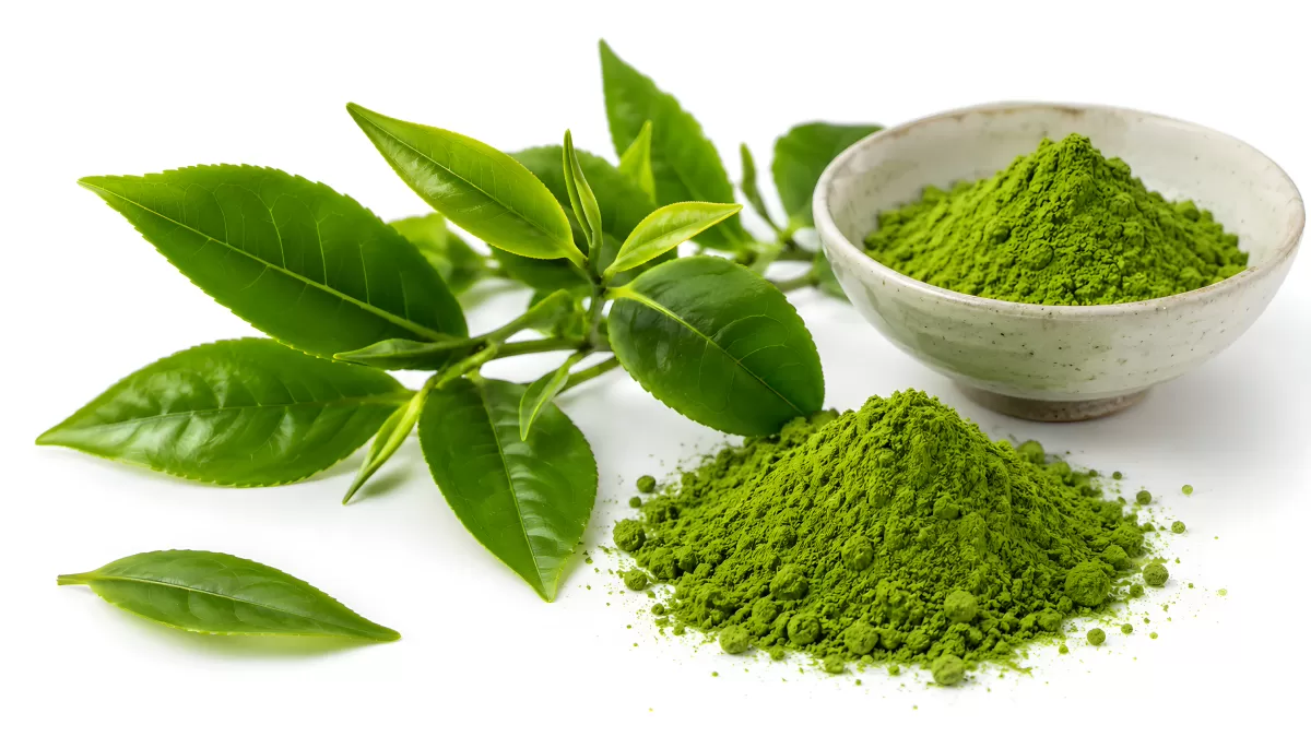Matcha-Pulver mit frischen Grünteeblättern auf Weiß