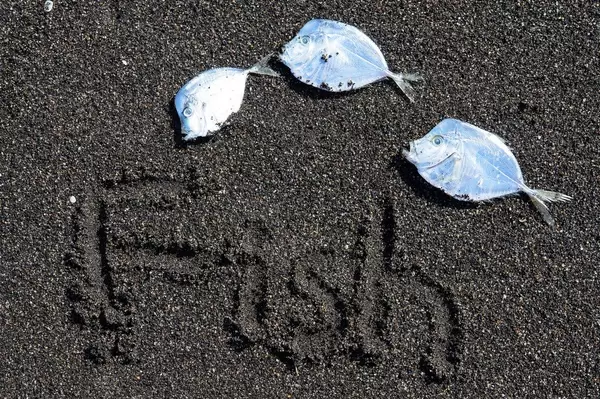 Mehrere Fische die in Richtung des Wortes FISH im Sand zeigen