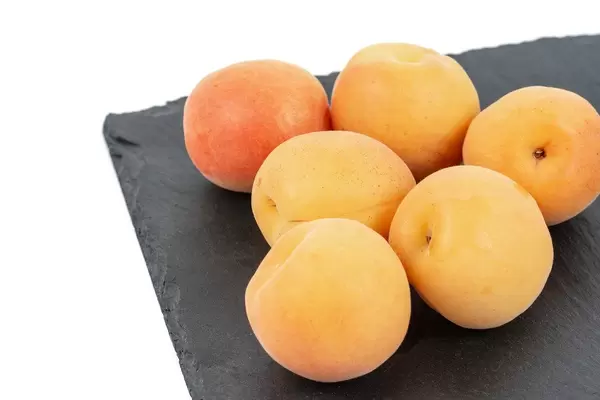 Mehrere, gereifte Aprikosen liegen als Sommerobst auf einer schwarzen Steinplatte