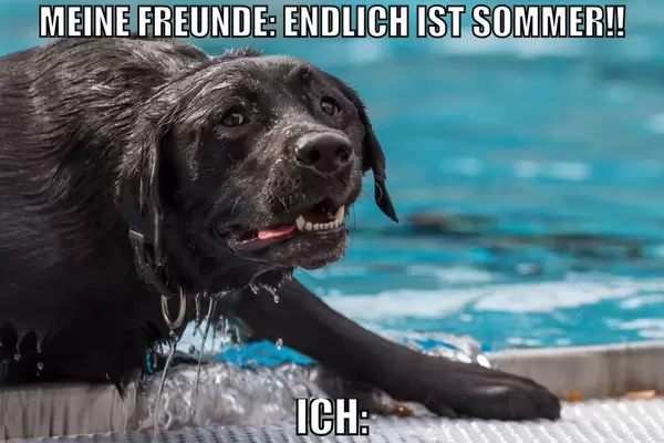 Meine Freunde: Endlich ist Sommer!! - Ich: