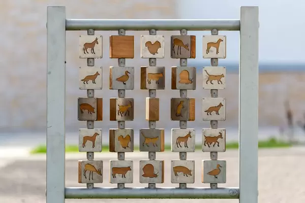 Memory am Spielplatz spielen