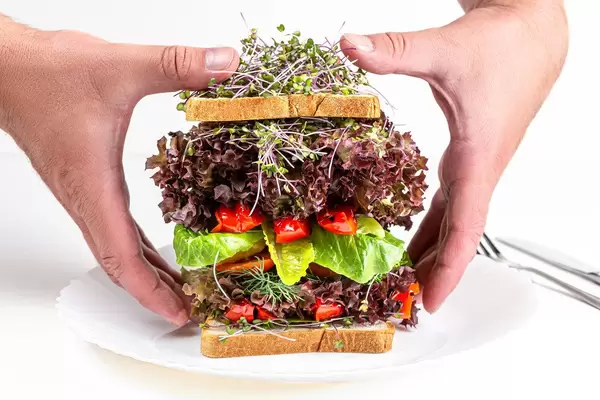 Men's hands take a large vegetarian sandwich