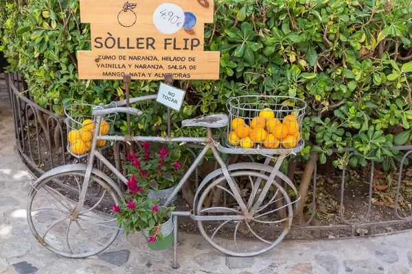 Metal bicycle with flowers in pots and oranges in baskets. Orange juice and ice "Sóller Flip"