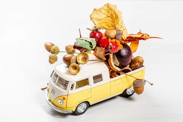 Metal pickup model, body filled with dry leaves, acorns and chestnuts on a white wooden background