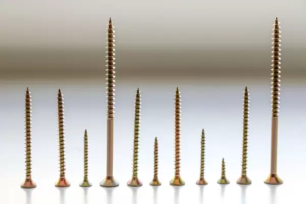 Metal screws of different sizes
