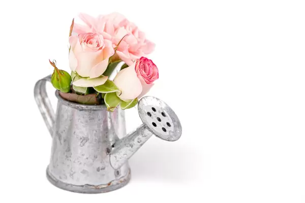 Metal watering can with pink flowers