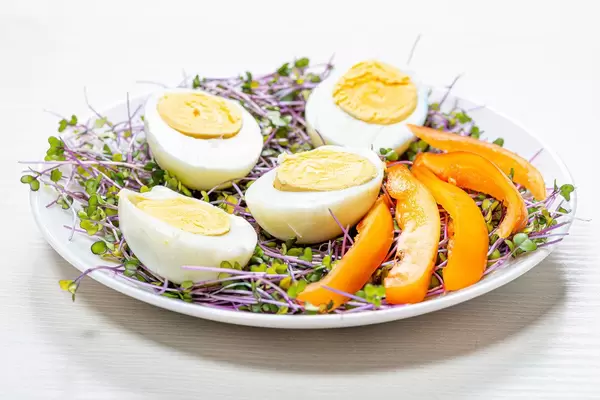 Micro-greens cabbage with boiled eggs and pieces of bell pepper (Flip 2019)