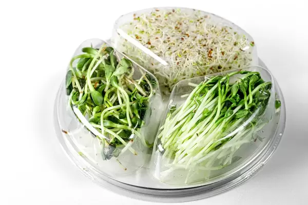 Micro-greens of onions, peas and sunflowers in a plastic container (Flip 2020)