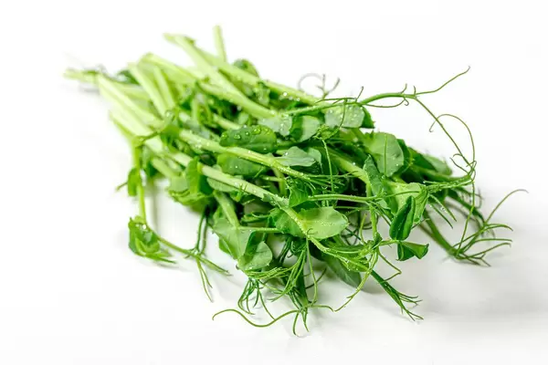 Micro greens pea on a light background. Healthy eating concept (Flip 2019)