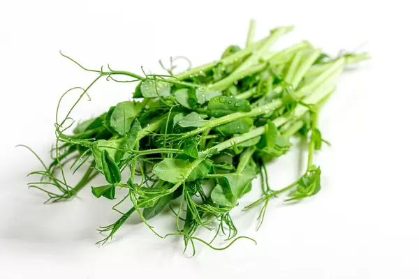 Micro greens pea on a light background. Healthy eating concept