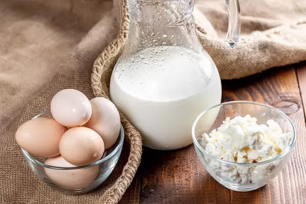 Milk jug with cottage cheese and eggs on burlap  Flip 2019