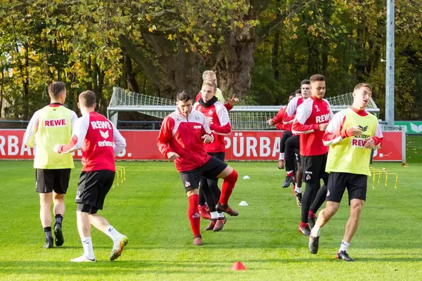Milos Jojic und andere Spieler beim Training am 13.11.2017