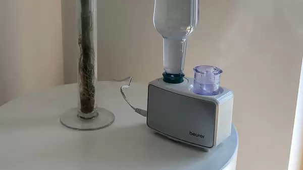 Mini-Luftbefeuchter LB 12 von Beurer