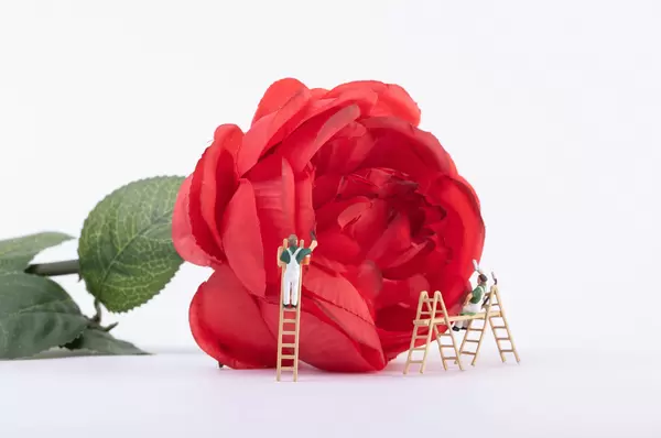 Miniature painters with red rose