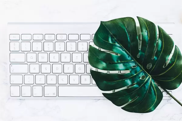 Minimalistic flat lay with key board and a green leaf