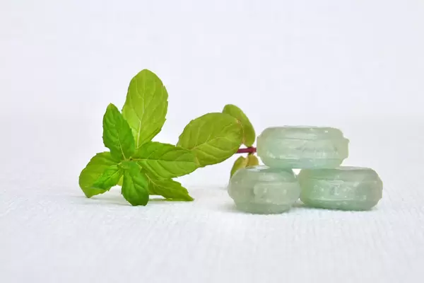 Minze Eukalyptus-Bonbon