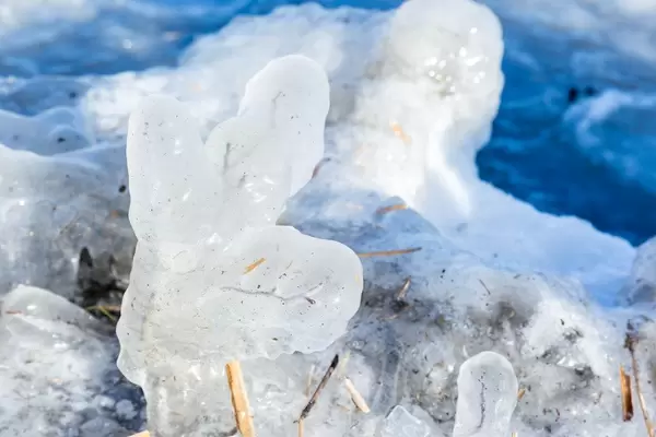 Mit einer dicken Eisschicht bedeckte Zweige