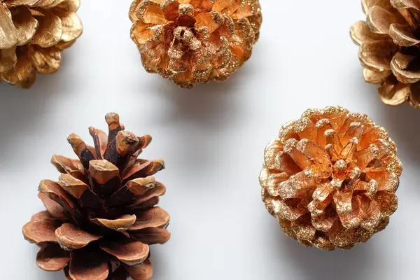 Mit goldener Farbe besprühte Kiefernzapfen, Weihnachtsdekoration