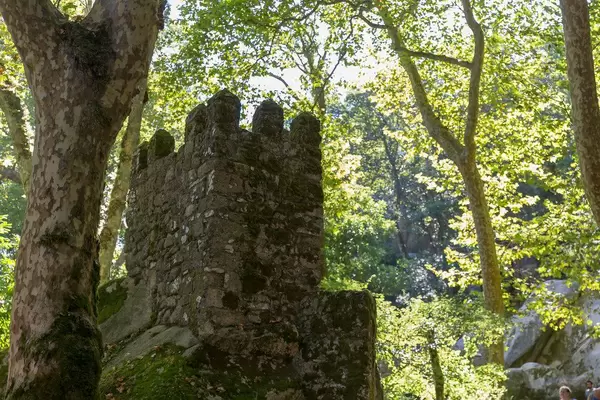 Mittelalterliche Ruine der Burg Castelo Dos Mouros im Wald