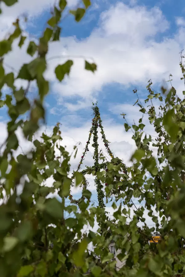 Mittsommerbaum  auf Midsommar Fest in Köln