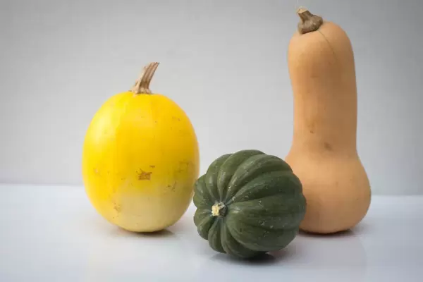 Mix of Squash, butternut, Acorn and Spaghetti