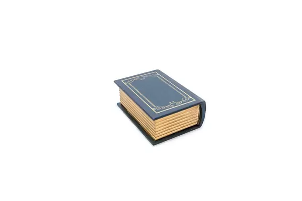 Mock-up of old book isolated on white background (Flip 2019)