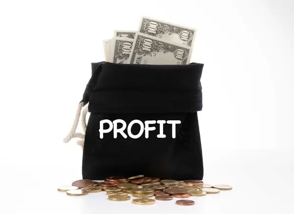 Money bag with Profit text on white background