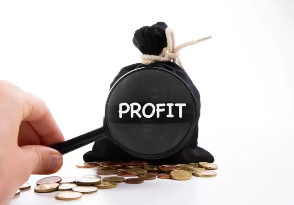 Money bag with Profit text under magnifying glass