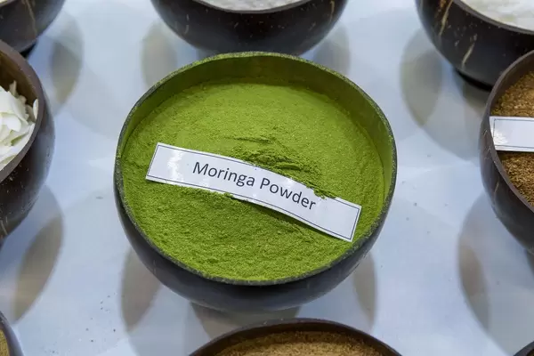 Moringa Pulver in einer Schale