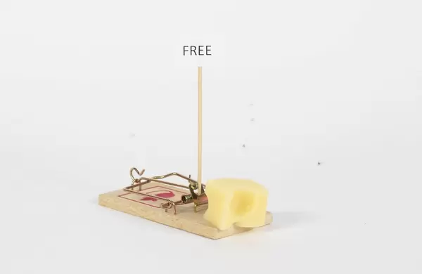 Mousetrap with free cheese