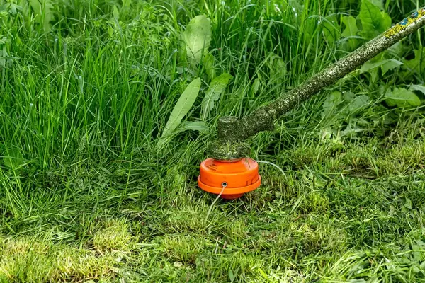Mower mowing green grass, close up