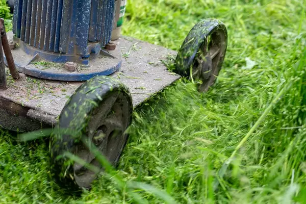 Mowing the grass, close up