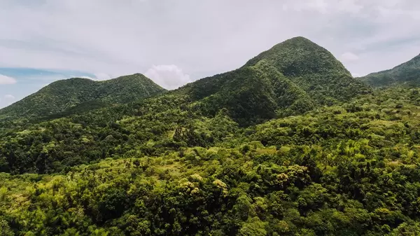 Mt. Mandalagan mountain ranges