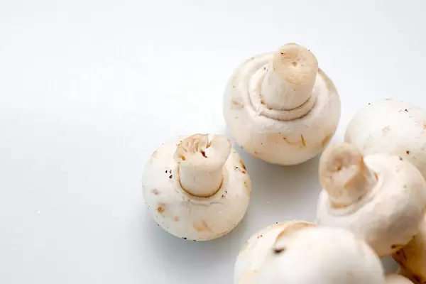 Mushroom On a White Background