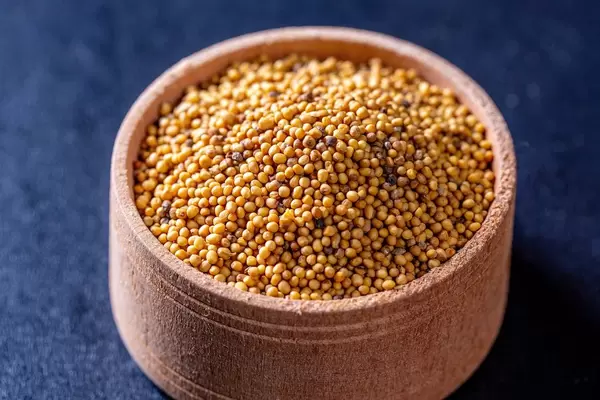 Mustard seed