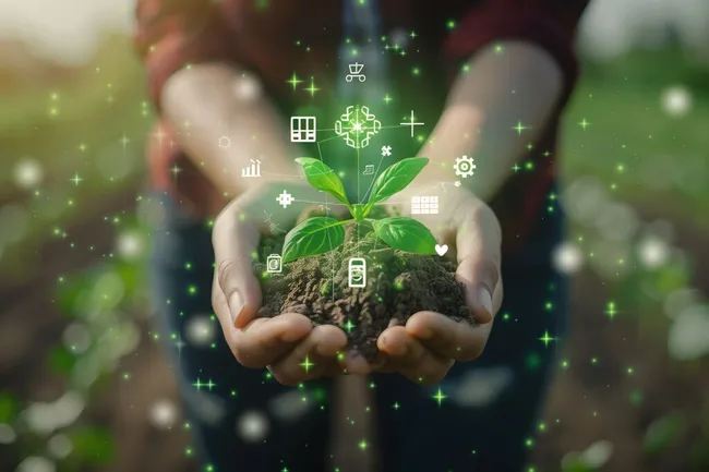 Nachhaltige Innovation in der Landwirtschaft