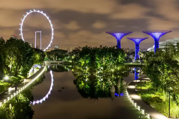 Nachtaufnahme: Singapur Flyer (Riesenrad) und Supertree Grove