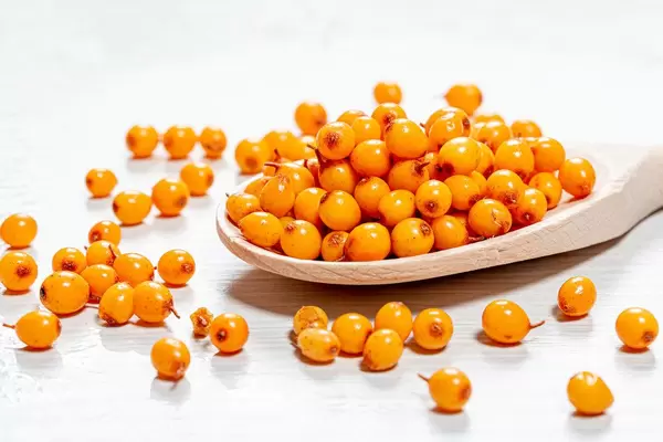 Nahaufhname eines Holzkochlöffel mit frischen gelben Sanddornbeeren auf weißem Hintergrund