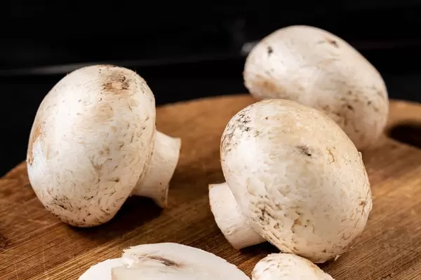 Nahaufnahme auf Pilzen auf dem hölzernen Brett