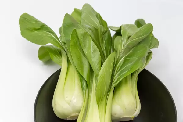 Nahaufnahme Baby Pak Choi auf schwarzem Teller auf weißem Hintergrund