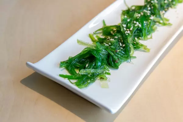 Nahaufnahme der Algensorte Wakame, mit Sesam gewürzt, als vegane Vorspeise "Goma Wakame" beim Japaner