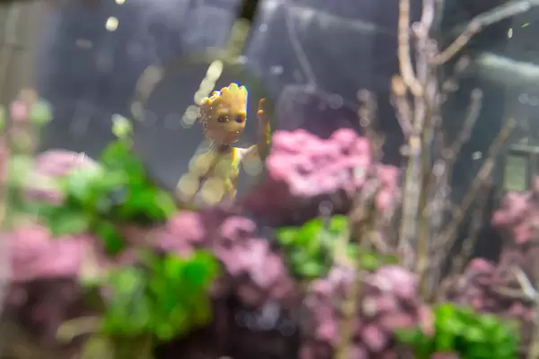 Nahaufnahme der Figur Baby Groot