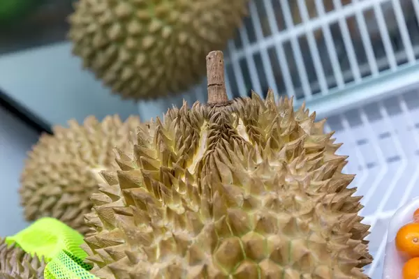 Nahaufnahme einer Durian-Frucht