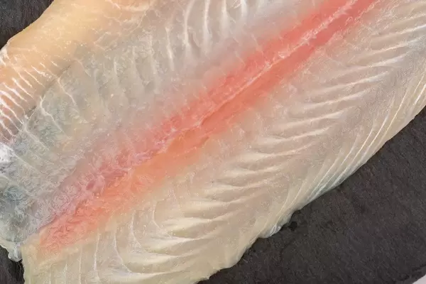 Nahaufnahme eines Wels-Filets auf einem schwarzen Schiefersteinbrettchen