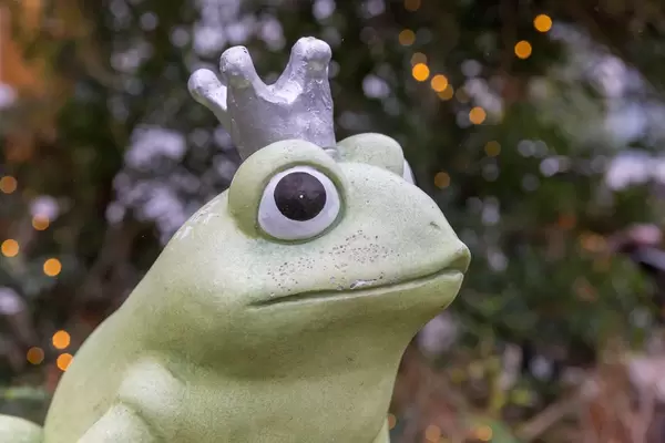 Nahaufnahme Gartendekoration Froschkönig mit silberner Krone
