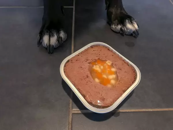 Nahaufnahme geöffnete Aluschale mit Hundefutter auf Boden mit Hundepfoten