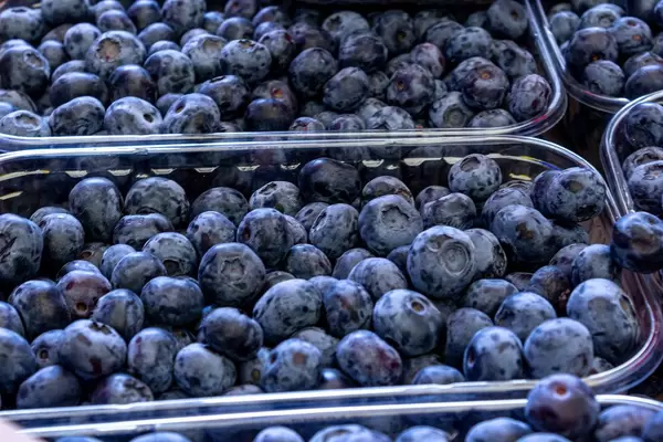 Nahaufnahme Plastikschalen gefüllt mit leckeren Blaubeeren in Verkaufsauslage