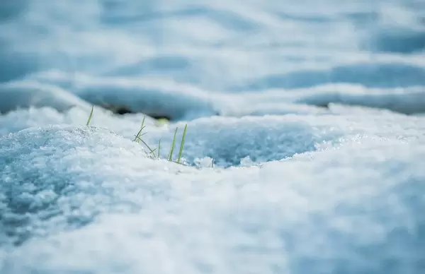 Nahaufnahme vom Schnee
