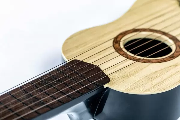 Nahaufnahme von auf Gitarre gespannten Gitarrensaiten vor weißem Hintergrund