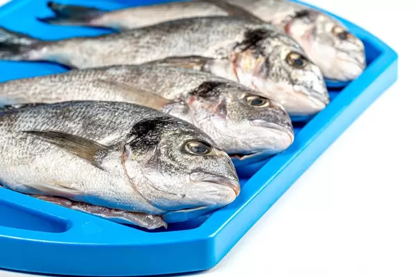 Nahaufnahme von Dorado-Fischen auf einem blauen Teller